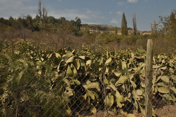 Sitio en Venta, Chicureo Centro